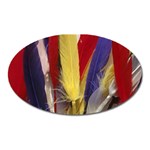 colour-05 Magnet (Oval)