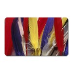 colour-05 Magnet (Rectangular)