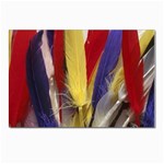 colour-05 Postcards 5  x 7  (Pkg of 10)
