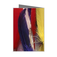 colour Right