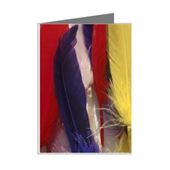 colour Right