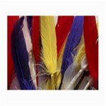 colour-05 Glasses Cloth (Small)