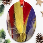 colour-05 Oval Ornament (Two Sides)