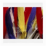 colour-05 Glasses Cloth (Medium)