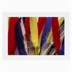 colour-05 Glasses Cloth (Large, Two Sides)