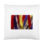 colour-05 Cushion Case (Two Sides)