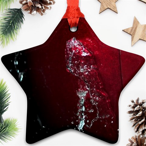 watermark2 Ornament (Star) from ArtsNow.com Front