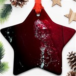watermark2 Ornament (Star)