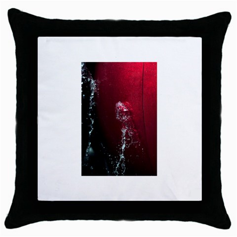 watermark2 Throw Pillow Case (Black) from ArtsNow.com Front