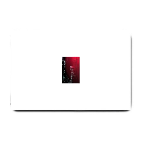 watermark2 Small Doormat from ArtsNow.com 24 x16  Door Mat