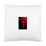 watermark2 Cushion Case (Two Sides)
