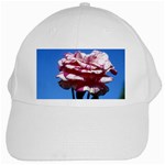 flower-bv5wa White Cap