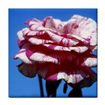 flower-bv5wa Tile Coaster