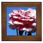 flower-bv5wa Framed Tile