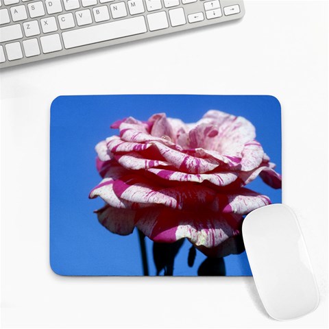 flower Front