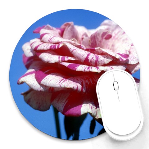 flower Front