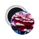 flower-bv5wa 2.25  Magnet