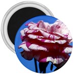 flower-bv5wa 3  Magnet