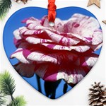 flower-bv5wa Ornament (Heart)