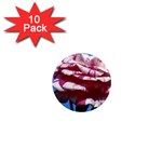 flower-bv5wa 1  Mini Magnet (10 pack) 