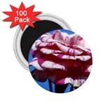 flower-bv5wa 2.25  Magnet (100 pack) 