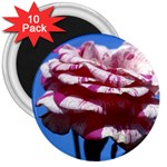flower-bv5wa 3  Magnet (10 pack)