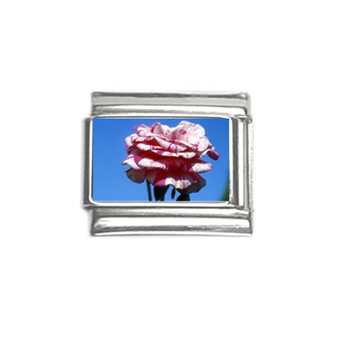 flower Front