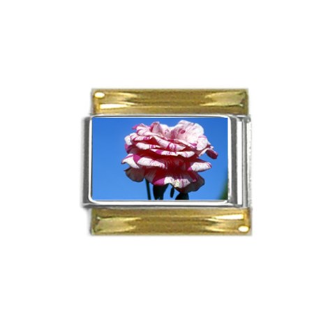 flower Front