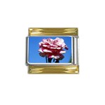 flower-bv5wa Gold Trim Italian Charm (9mm)