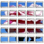 flower-bv5wa 9mm Italian Charm (25 pack)