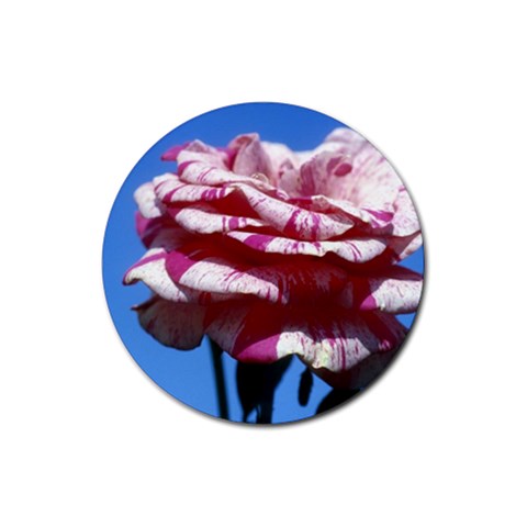 flower Front