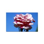 flower-bv5wa Sticker (Rectangular)