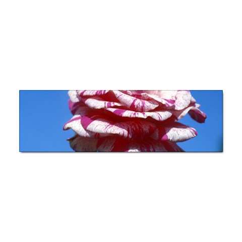 flower Front