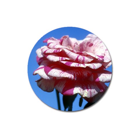 flower Front