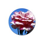 flower-bv5wa Magnet 3  (Round)