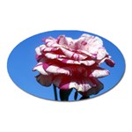 flower-bv5wa Magnet (Oval)
