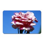 flower-bv5wa Magnet (Rectangular)