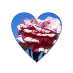 flower-bv5wa Magnet (Heart)