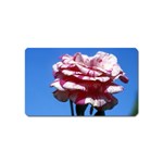 flower-bv5wa Magnet (Name Card)