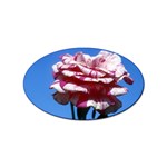 flower-bv5wa Sticker Oval (100 pack)