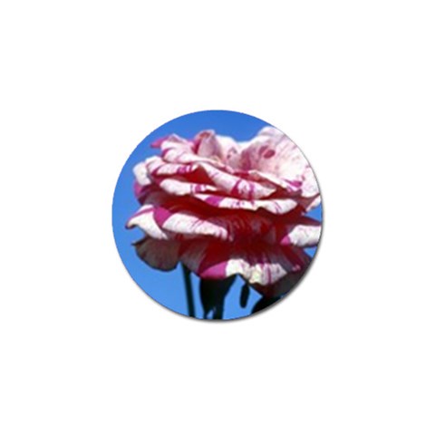 flower Front
