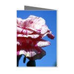 flower-bv5wa Mini Greeting Cards (Pkg of 8)
