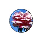 flower-bv5wa Hat Clip Ball Marker (4 pack)