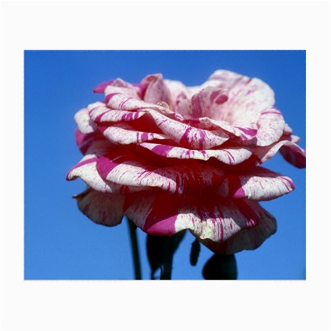 flower Front