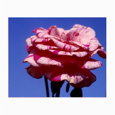 flower Front
