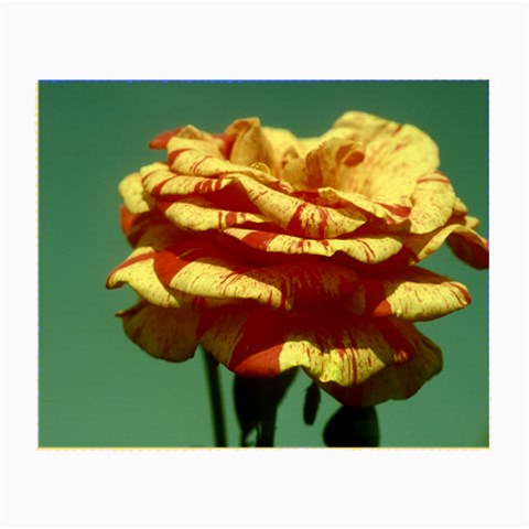 flower Front