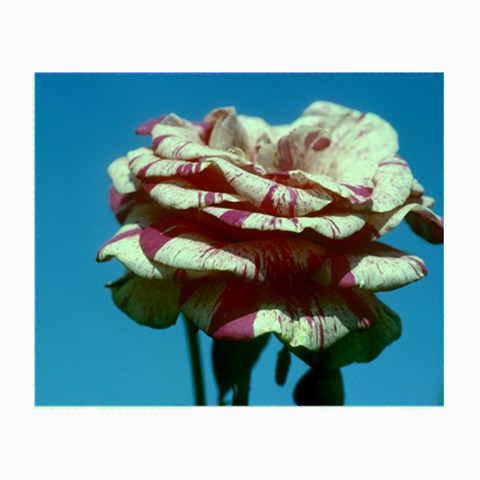 flower Front