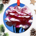 flower-bv5wa Round Ornament (Two Sides)