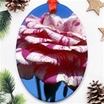 flower-bv5wa Oval Ornament (Two Sides)