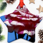 flower-bv5wa Star Ornament (Two Sides)